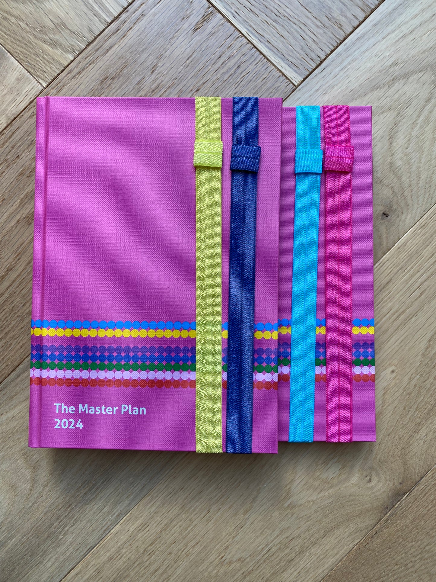 2024 Master Plan Diary - Pink