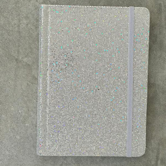 2025 Master Plan Diary -The  Disco Diary