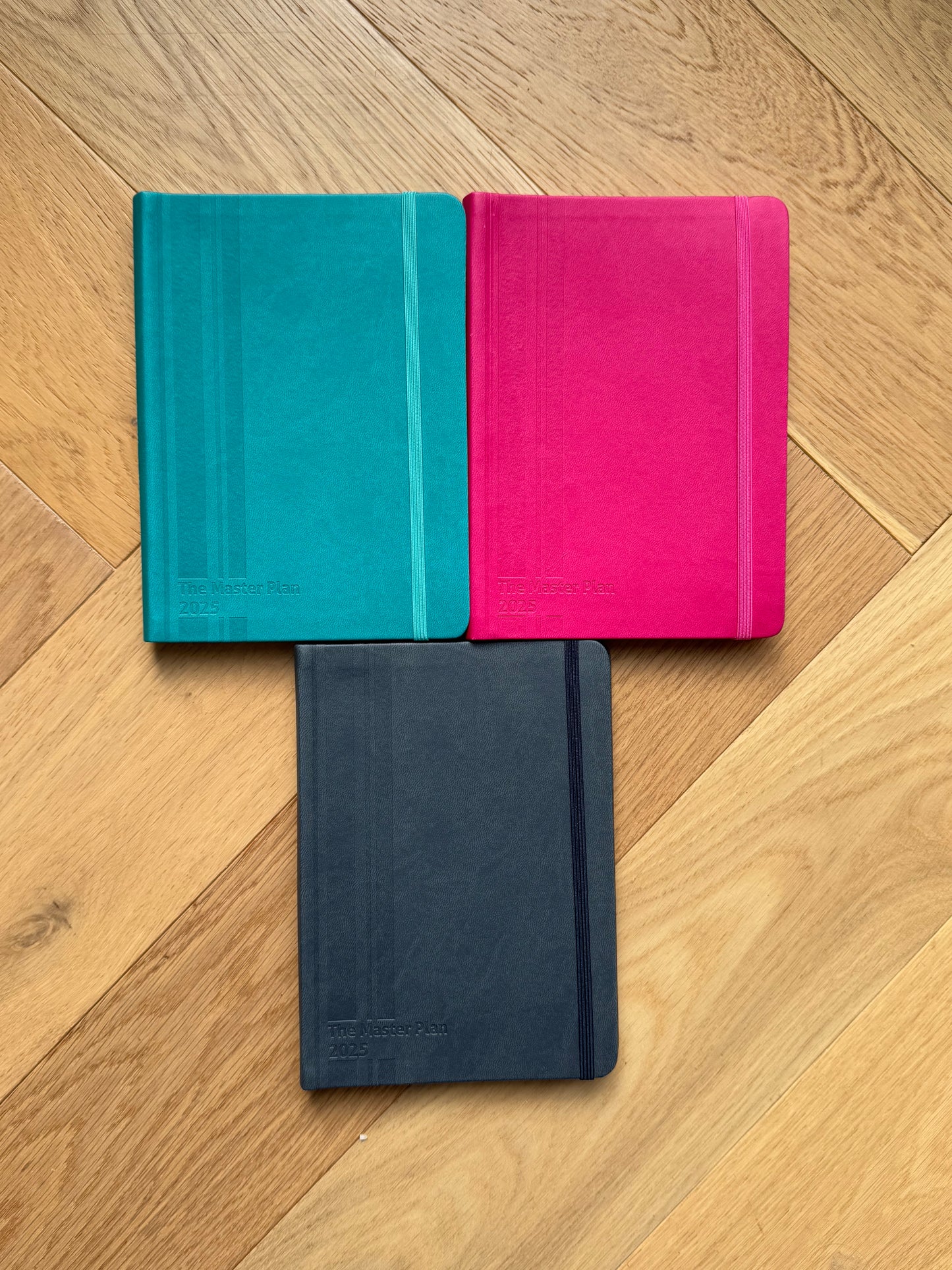 2025 Master Plan Diary - Lucky Dip - One of these colours!